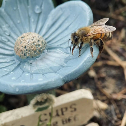 Darolio®🐝Flower-Shaped Bee Watering Station💧