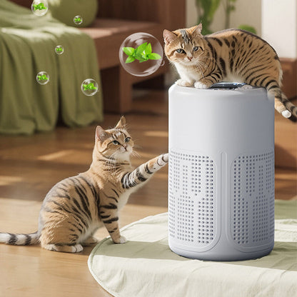 Darolio®🔇LAST DAY SALE 70% OFF 💐Silent Air Purifier – Peaceful sleep, no noise😴【Limited Offer】