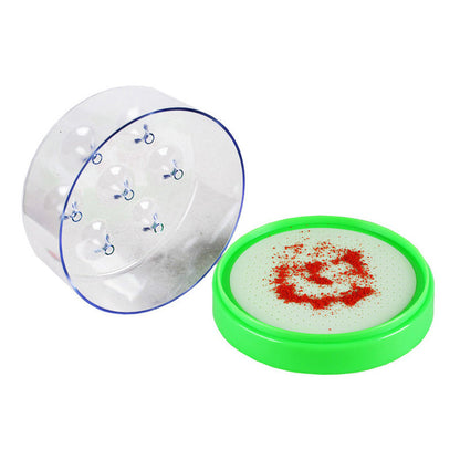 Darolio®🪰 Reusable Non-Electric Fly & Mosquito Trap – Safe, Durable🏡