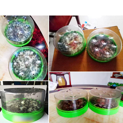 Darolio®🪰 Reusable Non-Electric Fly & Mosquito Trap – Safe, Durable🏡